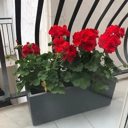 Delizioso A Διαμέρισμα *
