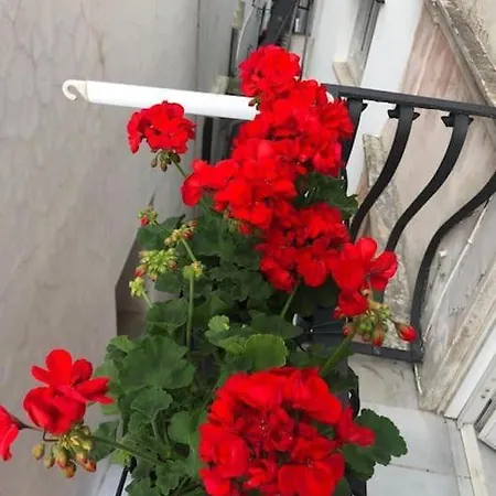 Delizioso A
